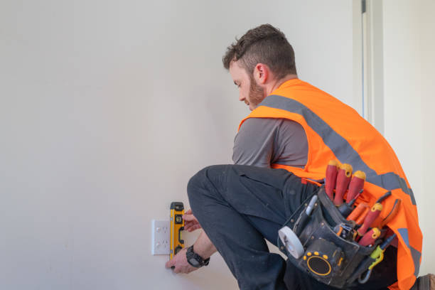Best Electric Panel Repair  in Reedsburg, WI